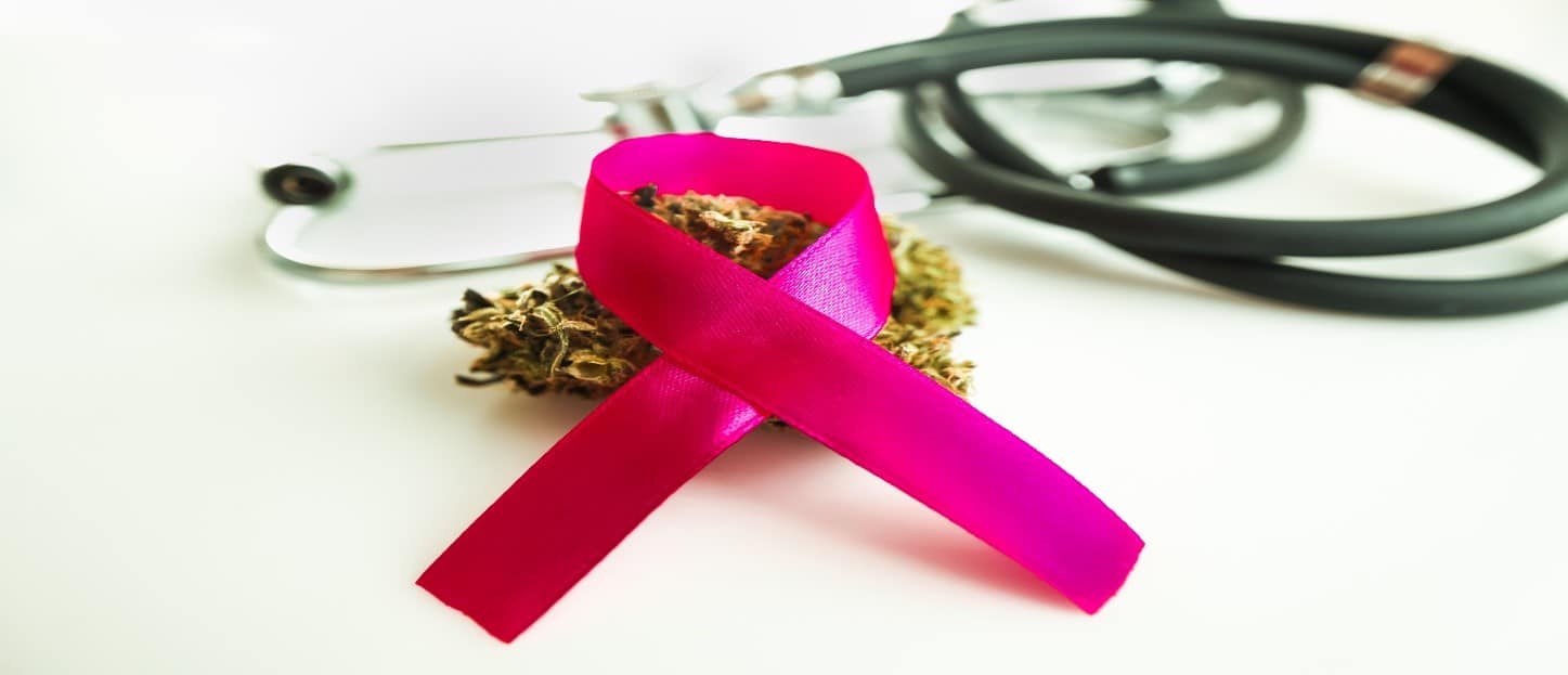 What We Know About Fighting Cancer and CBD
